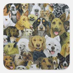 Dog Friends Quadratischer Aufkleber