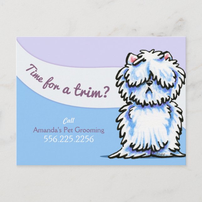 Dog Groomer Shabby Westie Advertisement Mailer Postkarte (Vorderseite)
