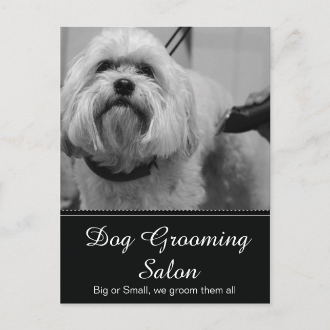Dog Grooming Post Card - personalisierbar Postkarte (Vorderseite)