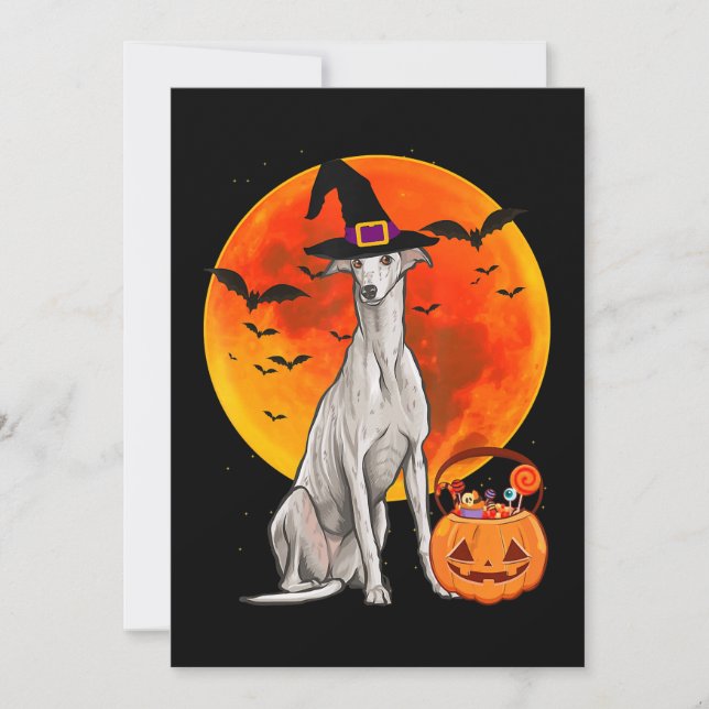 Dog Halloween Greyhound Jack O Lantern Pumpkin Feiertagskarte (Vorderseite)