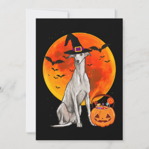 Dog Halloween Greyhound Jack O Lantern Pumpkin Feiertagskarte