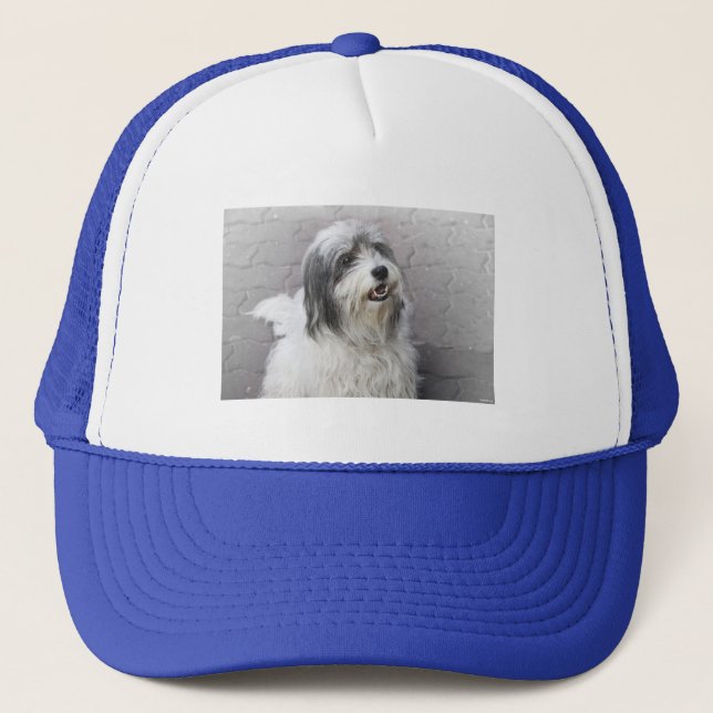 Dog Hat Truckerkappe (Vorderseite)