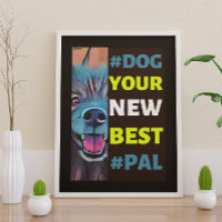 #Dog, Ihr neuer Bester #Pal ...Keeshond