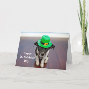 Dog Irish Hat St. Patrick's Day Feiertagskarte
