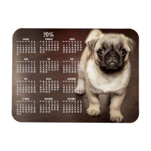 Dog-Kalender 2016 Foto Small Magnet 3x4