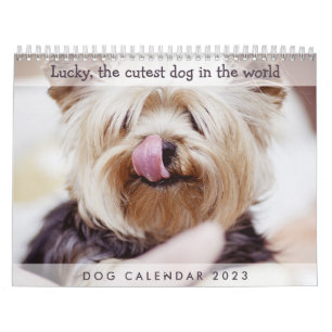Dog-Kalender 2023 Niedliche Fotos hinzufügen Kalender