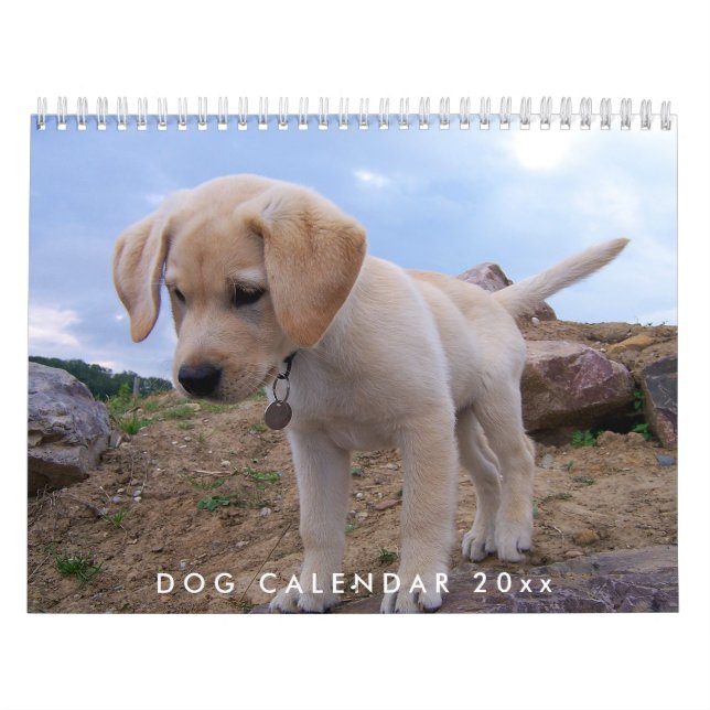 Dog Kalender 2024 mit Ihren Fotos (Titelbild)