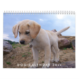Dog Kalender 2024 mit Ihren Fotos