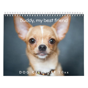 Dog-Kalender 2025 mit Fotos Kalender