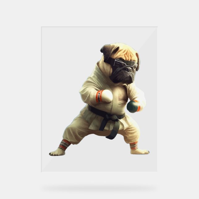 Dog Knows Karate transformiert Acrylschild (Vorderseite)