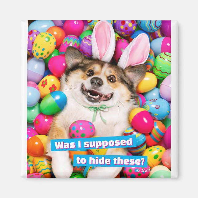 Dog Laying on Easter Eggs Magnet (Vorne)