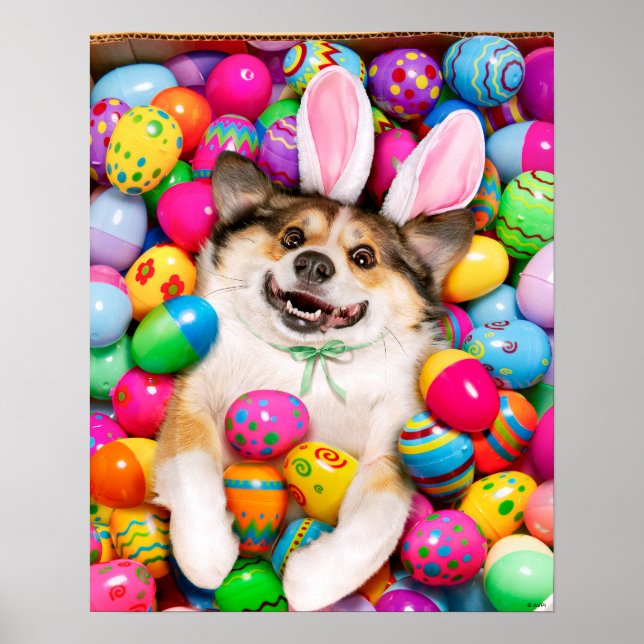 Dog Laying on Easter Eggs Poster (Vorne)