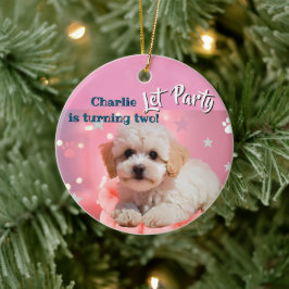 Dog Let's Party Birthday  Keramik Ornament