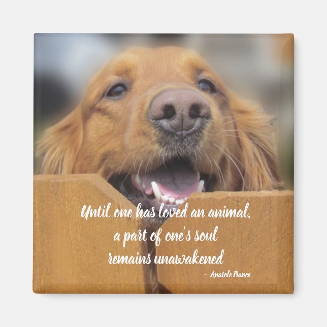 Dog Magnet, bis man das Tierangebot geliebt hat Magnet (Vorne)