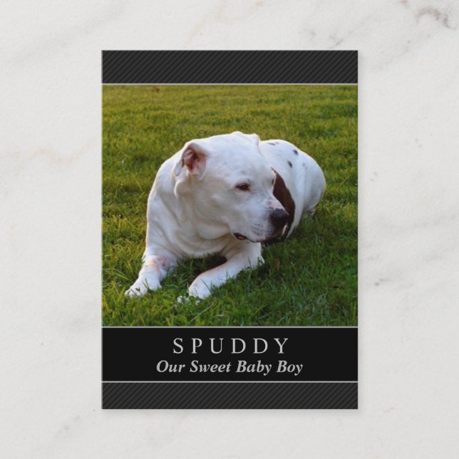 Dog Memorial Card - Carte photo noir moderne (Devant)