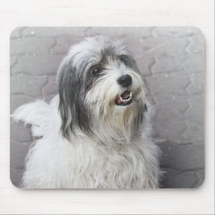 Dog Mouse Pad Mousepad