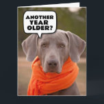 DOG NIEDLICH FUNNY HAPPY BIRTHDAY Grußkarten Karte<br><div class="desc">HUND NIEDLICH GLÜCKLICH BIRTHTAGKARTE.</div>
