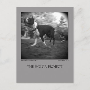 Dog Park Postcard 15 Postkarte