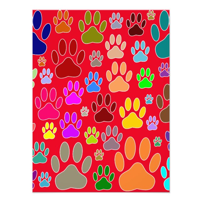 Dog Paw druckt überall Fotodruck (Vorne)