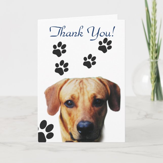 Dog Paw Print Vielen Dank Dankeskarte (Vorderseite)