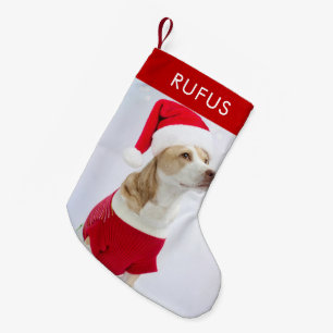 Dog Paw Themed Personalisiertes Foto Kleiner Weihnachtsstrumpf