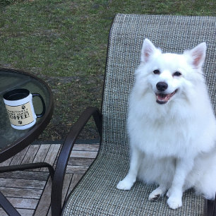 Dog Paw Typografie Coffee Lover's Niedliche Spezia Tasse