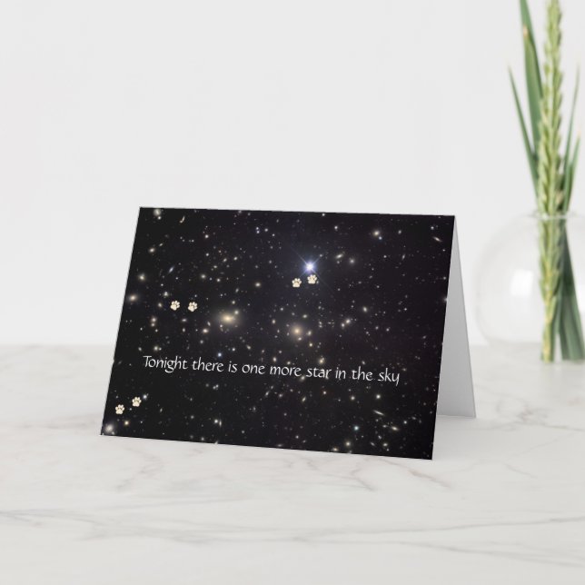 Dog Pawprints and Stars Sympathy Card Karte (Vorderseite)