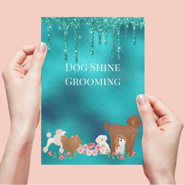 Dog Pet Grooming Sitting Business Glitzer Flyer (Von Creator hochgeladen)