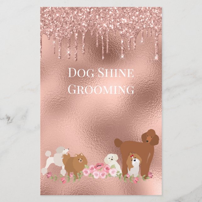 Dog Pet Grooming Sitting Business Glitzer Flyer (Vorne)