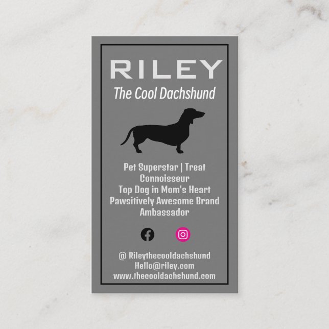 Dog Pet Influencer Social Media Dackel Dackel Visitenkarte (Vorderseite)