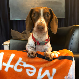 Dog Pfosten Drucklehne hinzufügen Doggie-Name Fleecedecke