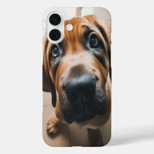 Dog Phone Case