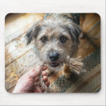 Dog Playing With Rope Mousepad<br><div class="desc">A scruffy dog is playing tug of war with a man using a frayed rope</div>