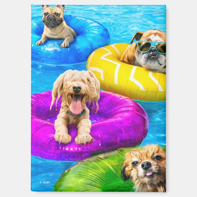 Dog Pool Party Magnet (Vorderseite)