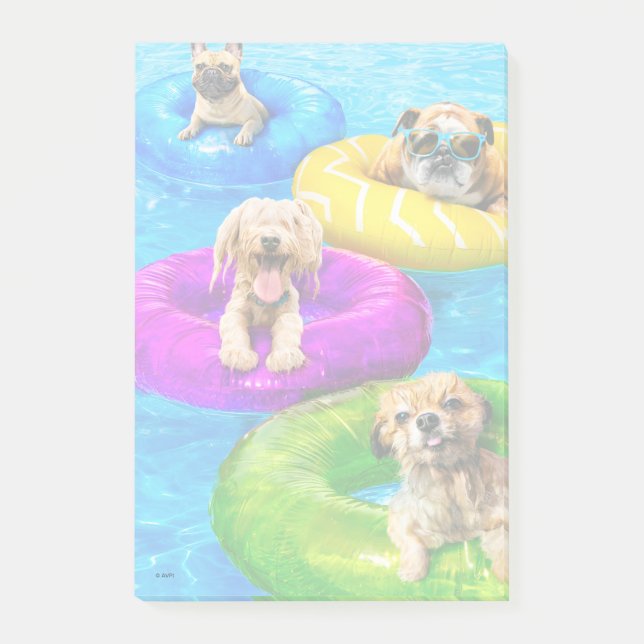 Dog Pool Party Post-it Klebezettel (Vorderseite)