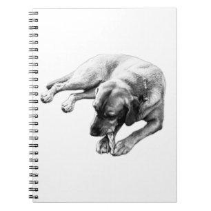 Dog-Portrait-Notebook Notizblock