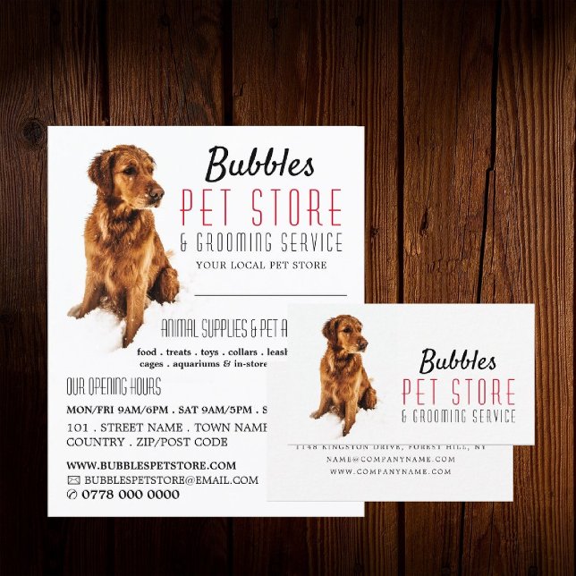 Dog Portrait, Pet Store & Groomer Werbung Flyer (Von Creator hochgeladen)