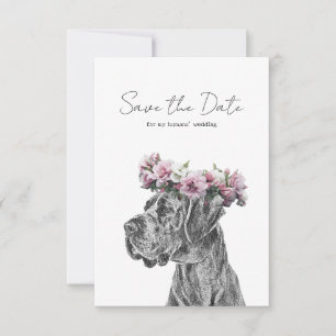Dog Portrait Schwarz & Weiß Speichern Sie die Datu