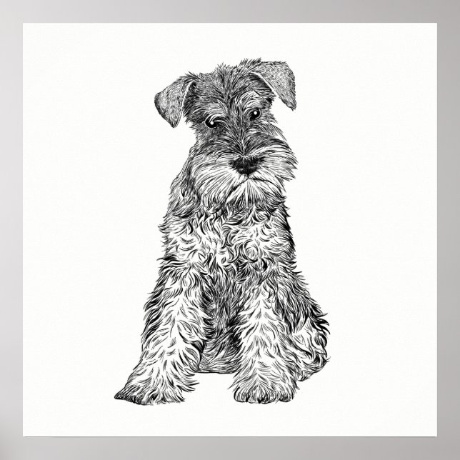 Dog Poster / Wall Art Schnauzer (Vorne)