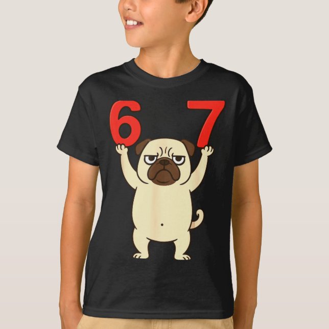 Dog Pug Funny 67 Meme Six Seven  T-Shirt (Vorderseite)