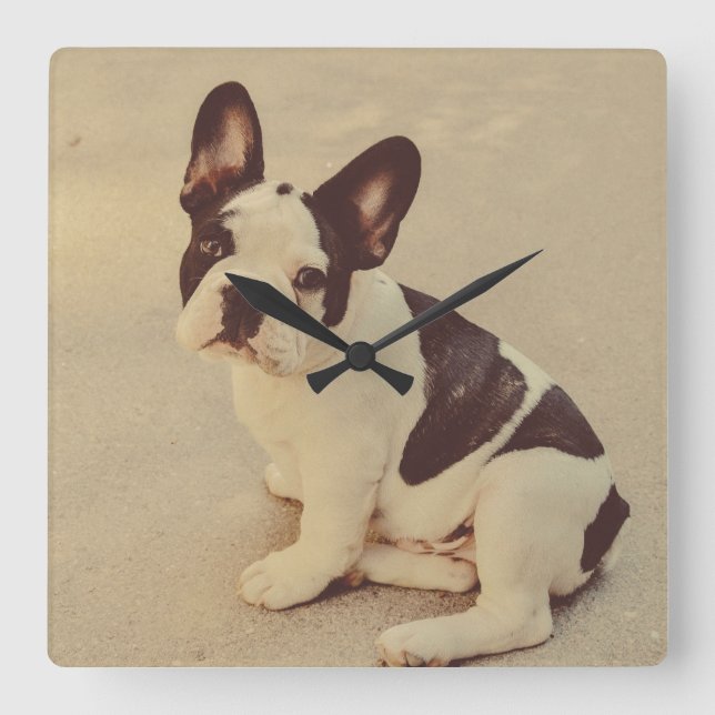 Dog Quadratische Wanduhr (Vorderseite)