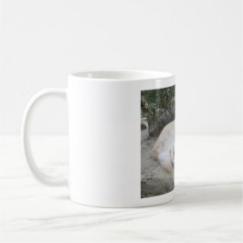 Dog Resting On A Rock Kaffeetasse