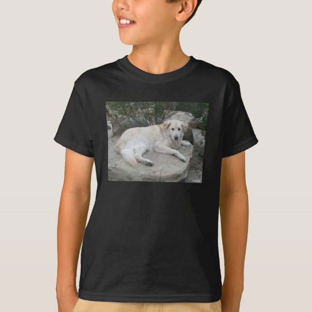 Dog Resting On A Rock T-Shirt (Vorderseite)