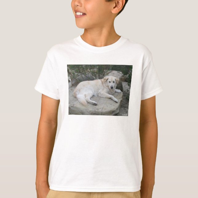 Dog Resting On A Rock T-Shirt (Vorderseite)