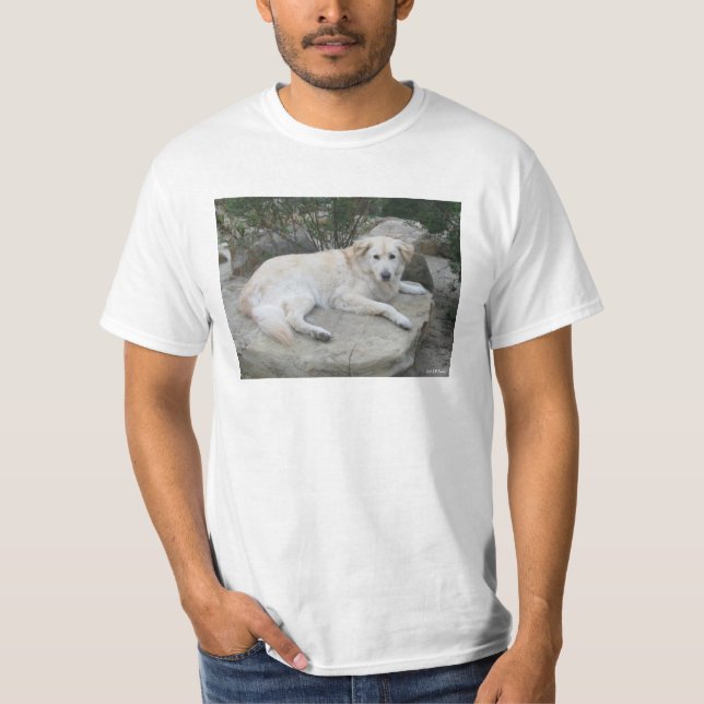 Dog Resting On A Rock T-Shirt (Vorderseite)