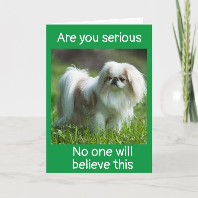 DOG SAGT *GRATULIERUNGEN ZU IHRER *WERBEAKTION* KARTE (Vorderseite)