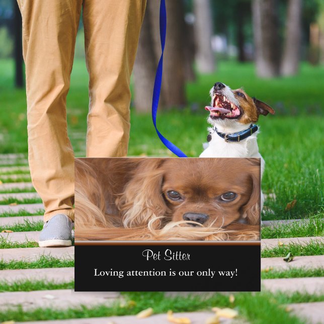 Dog Sitter Ruby Cavalier King Charles Spaniel Visitenkarte (Charming pet sitting business card - warmth, trust, and cuteness unleashed!)