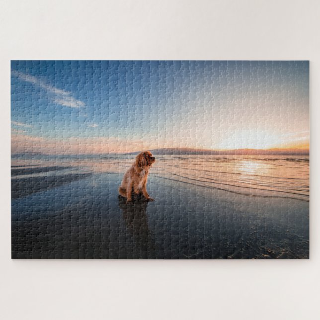 Dog sitting on the beach  (Horizontal)