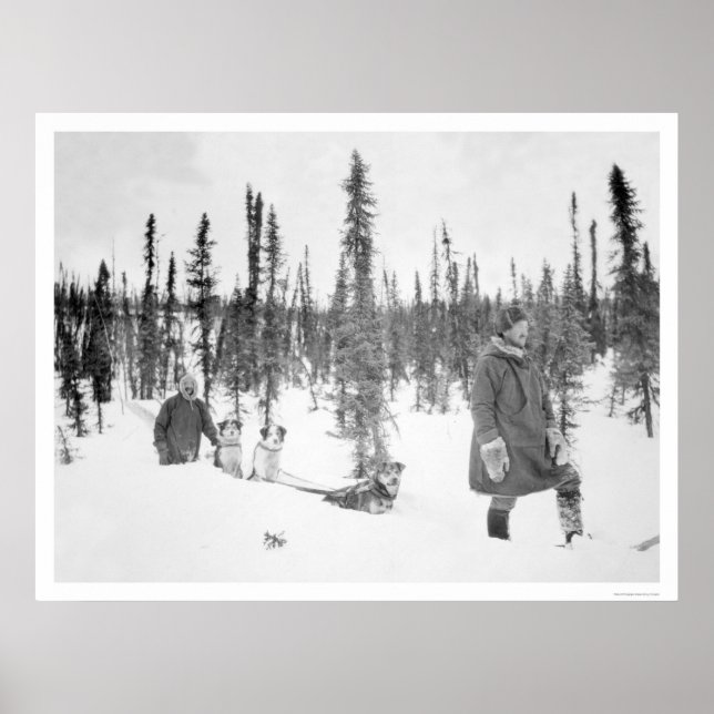Dog Sled Men Fairbanks 1920 Poster (Vorne)