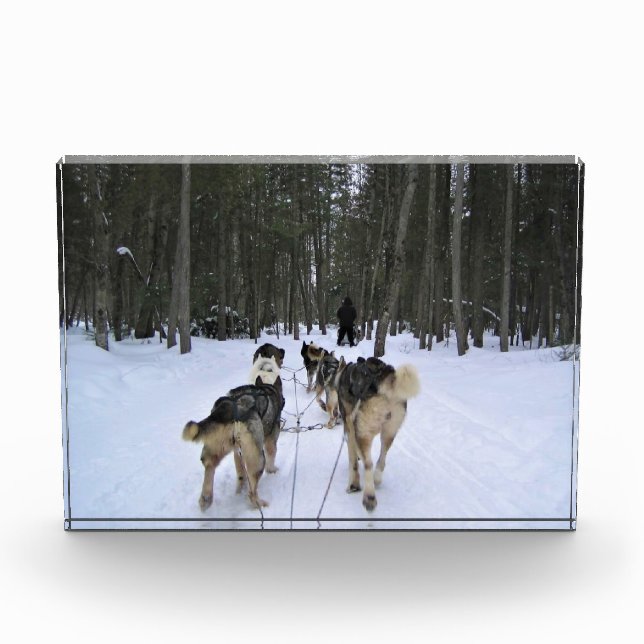 Dog Sledding in Quebec, Kanada Fotoblock (Vorderseite)